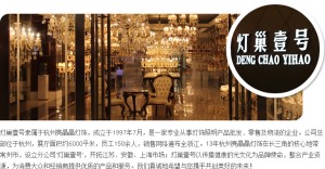 公司介绍